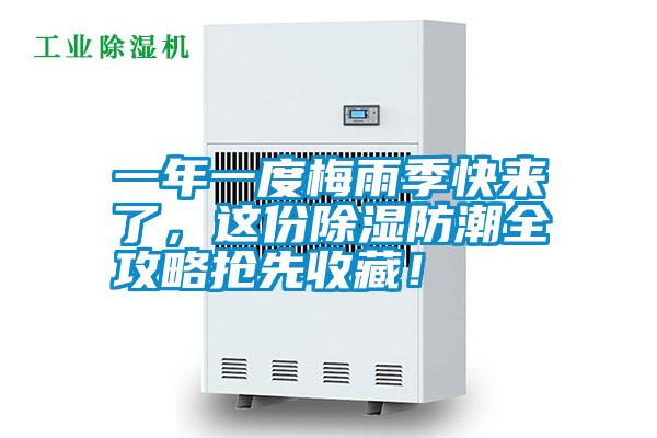 一年一度梅雨季快來了，這份除濕防潮全攻略搶先收藏！