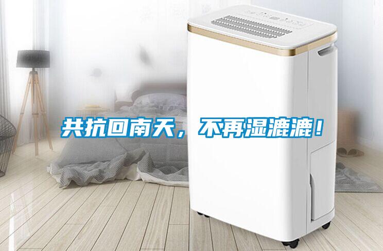 共抗回南天，不再濕漉漉！
