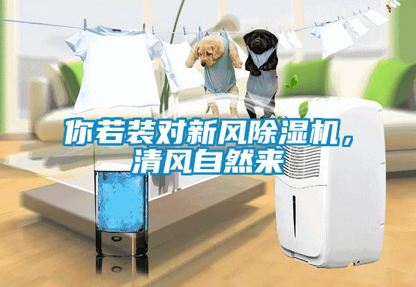 你若裝對新風除濕機，清風自然來
