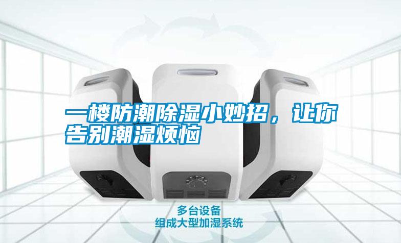 一樓防潮除濕小妙招，讓你告別潮濕煩惱