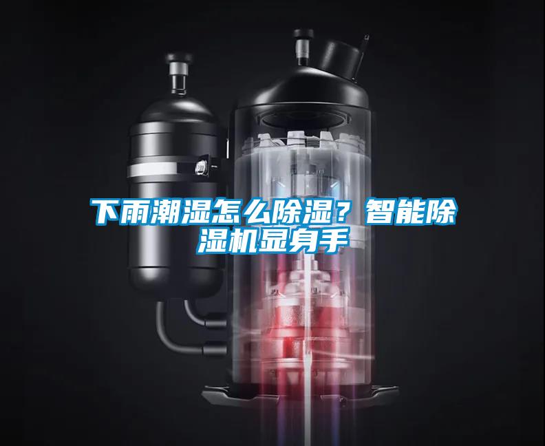 下雨潮濕怎么除濕？智能除濕機顯身手