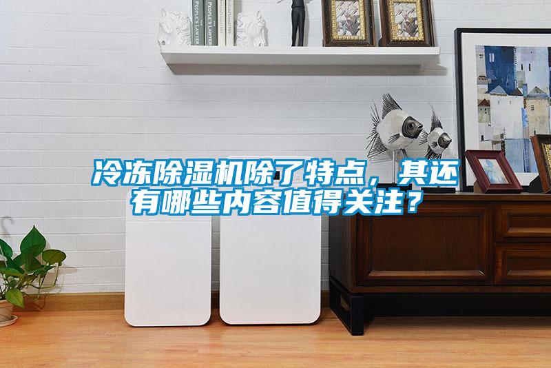 冷凍除濕機除了特點，其還有哪些內容值得關注？