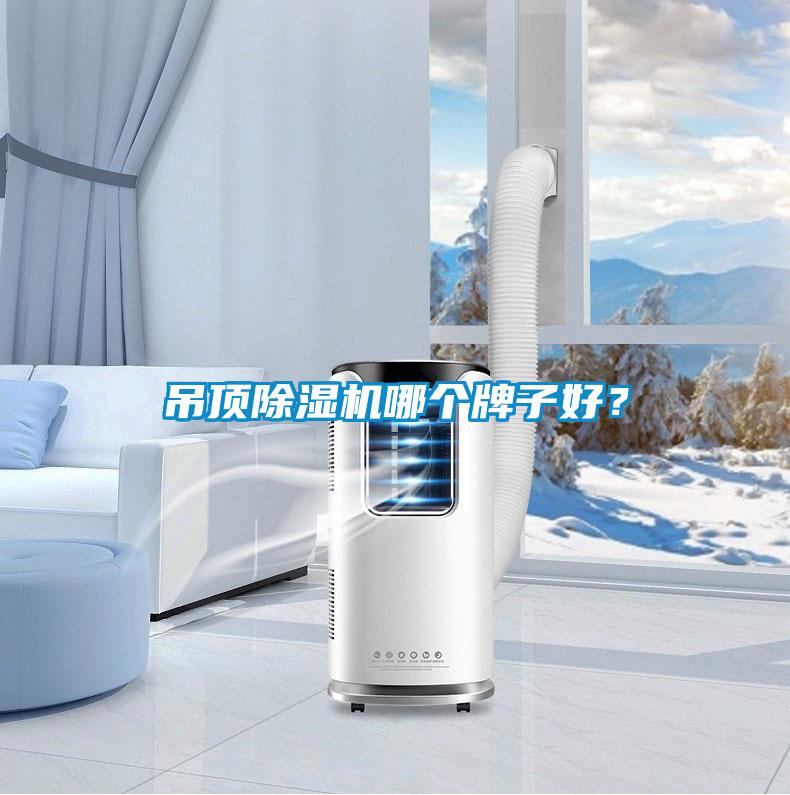 吊頂除濕機哪個牌子好？