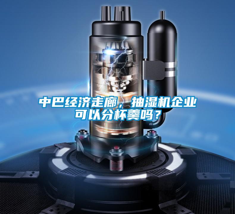 中巴經濟走廊，抽濕機企業可以分杯羹嗎？