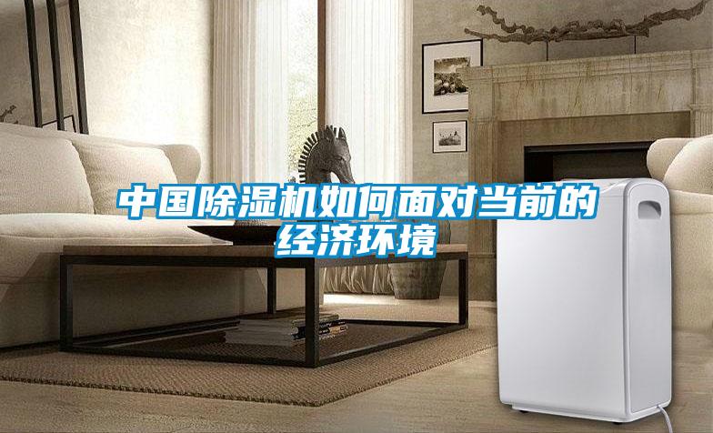 中國除濕機如何面對當前的經濟環(huán)境
