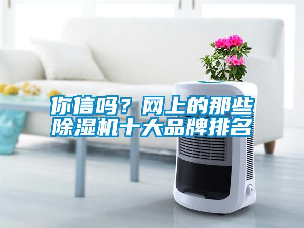 你信嗎？網上的那些除濕機十大品牌排名