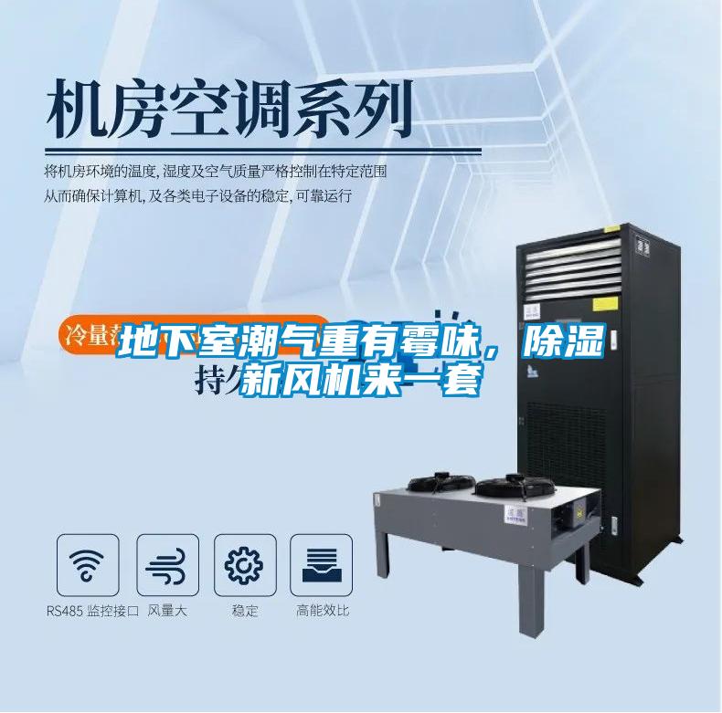 地下室潮氣重有霉味，除濕新風機來一套