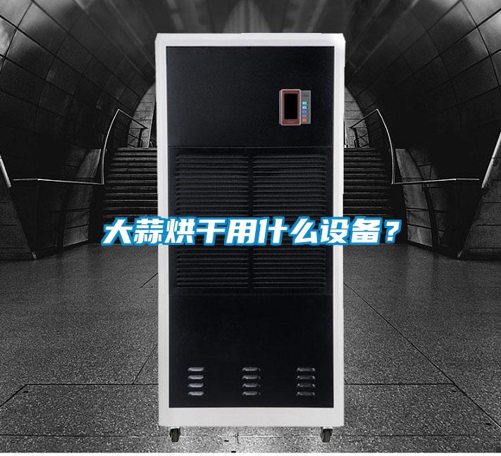 大蒜烘干用什么設備？