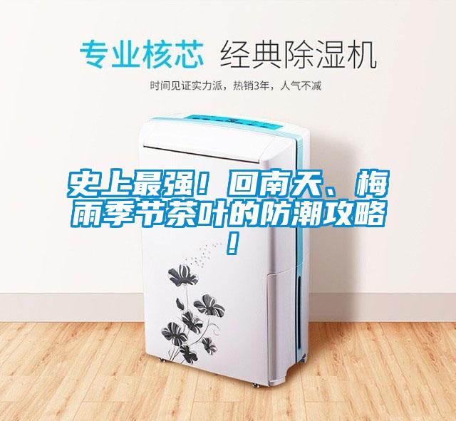 史上最強！回南天、梅雨季節茶葉的防潮攻略！