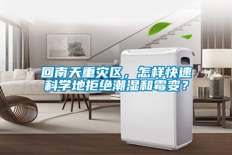 回南天重災區，怎樣快速科學地拒絕潮濕和霉變？
