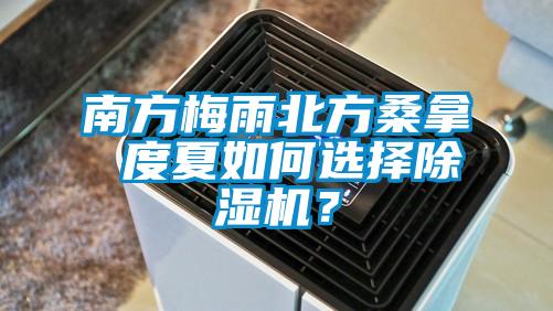 南方梅雨北方桑拿 度夏如何選擇除濕機？