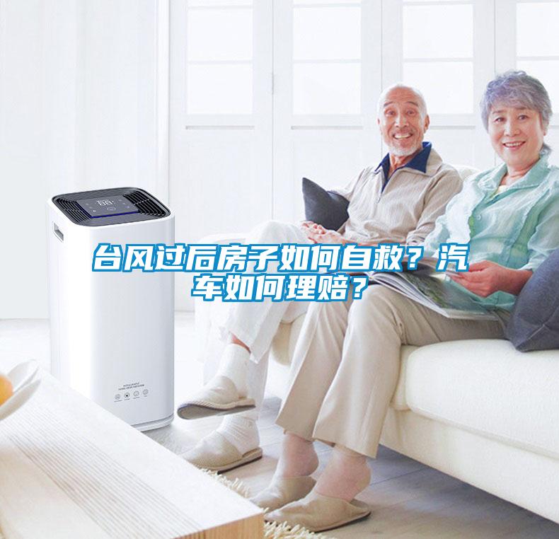 臺風過后房子如何自救？汽車如何理賠？