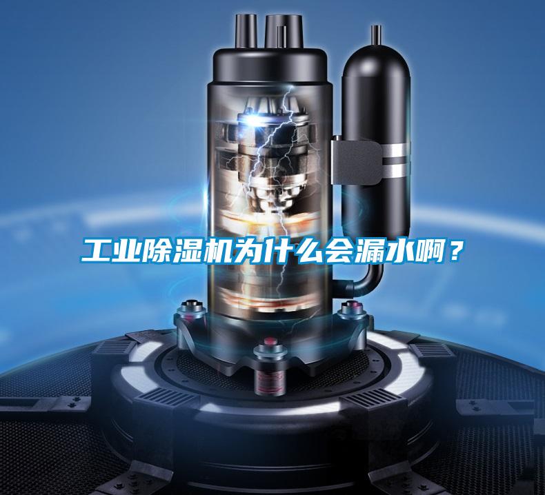 工業(yè)除濕機(jī)為什么會(huì)漏水啊？