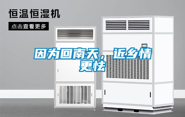 因為回南天，近鄉情更怯
