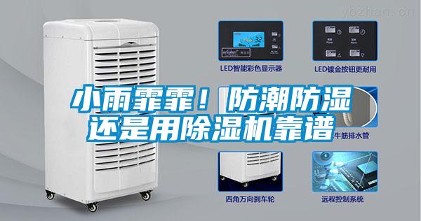 小雨霏霏！防潮防濕還是用除濕機(jī)靠譜