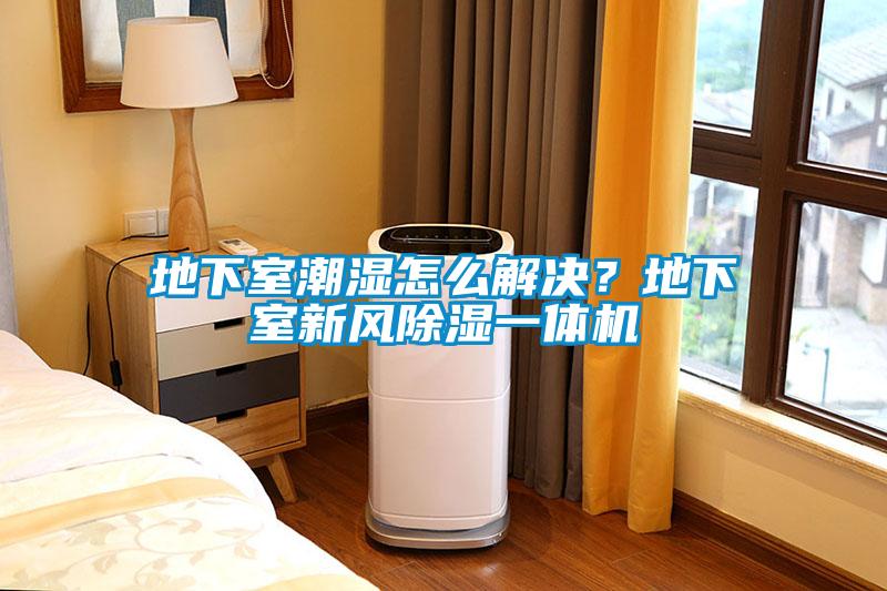 地下室潮濕怎么解決？地下室新風除濕一體機