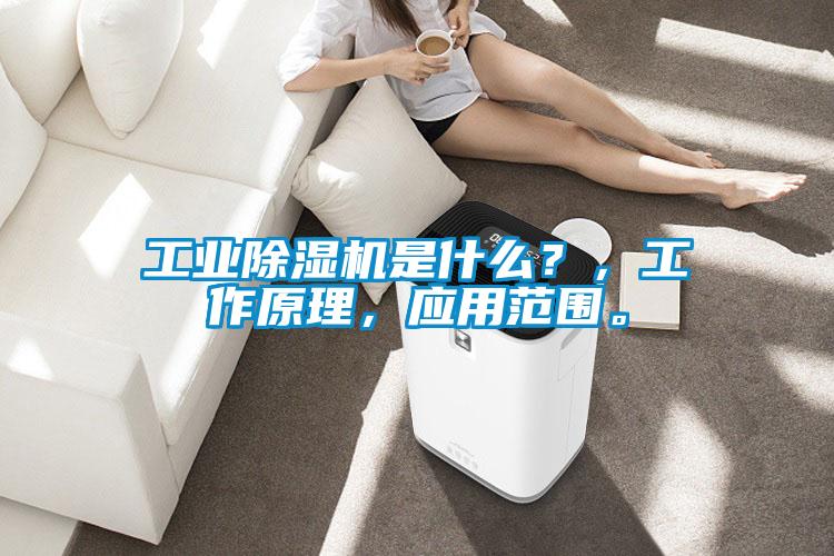 工業(yè)除濕機是什么？，工作原理，應(yīng)用范圍。