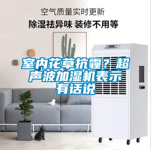 室內(nèi)花草抗霾？超聲波加濕機(jī)表示有話說
