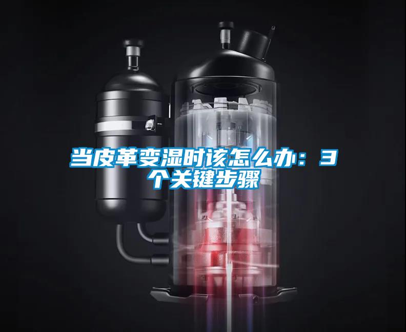 當(dāng)皮革變濕時該怎么辦：3個關(guān)鍵步驟