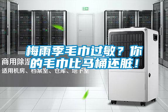 梅雨季毛巾過敏？你的毛巾比馬桶還臟！