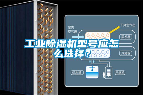 工業(yè)除濕機型號應(yīng)怎么選擇？