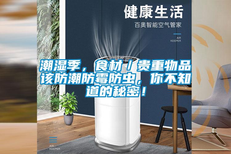 潮濕季，食材／貴重物品該防潮防霉防蟲，你不知道的秘密！