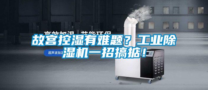 故宮控濕有難題？工業(yè)除濕機(jī)一招搞掂！
