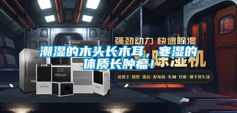 潮濕的木頭長(zhǎng)木耳，寒濕的體質(zhì)長(zhǎng)腫瘤！