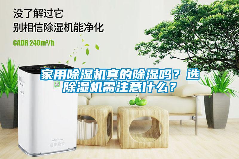 家用除濕機真的除濕嗎？選除濕機需注意什么？