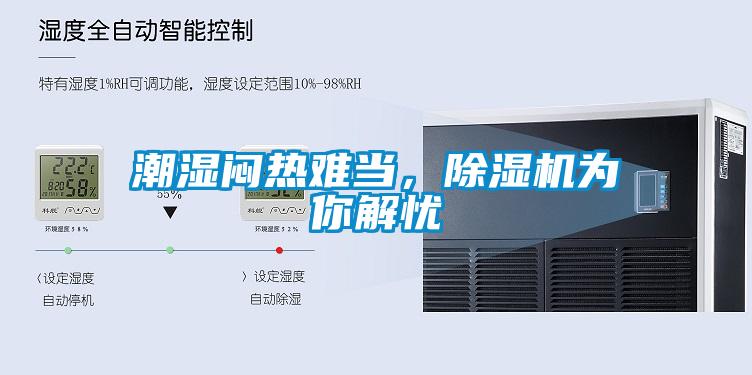 潮濕悶熱難當，除濕機為你解憂
