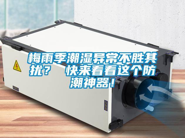 梅雨季潮濕異常不勝其擾？ 快來看看這個防潮神器！