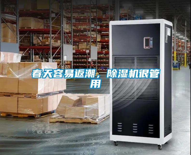 春天容易返潮，除濕機很管用