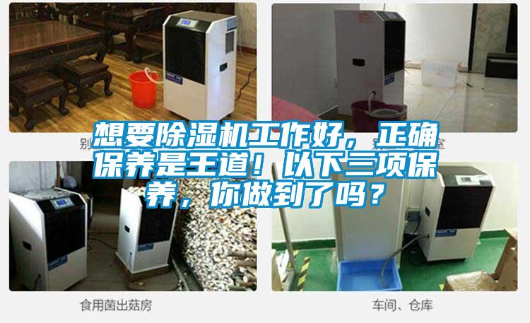 想要除濕機(jī)工作好，正確保養(yǎng)是王道！以下三項保養(yǎng)，你做到了嗎？