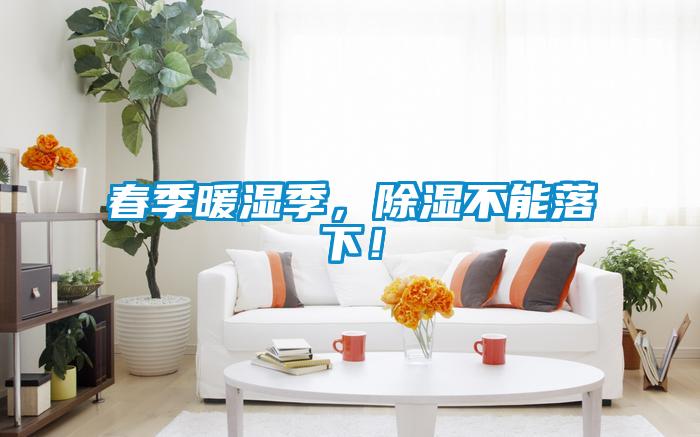 春季暖濕季，除濕不能落下！