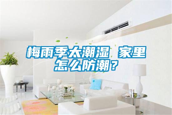 梅雨季太潮濕 家里怎么防潮？