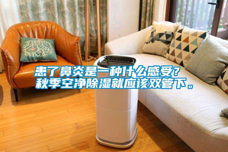 患了鼻炎是一種什么感受？ 秋季空凈除濕就應該雙管下。