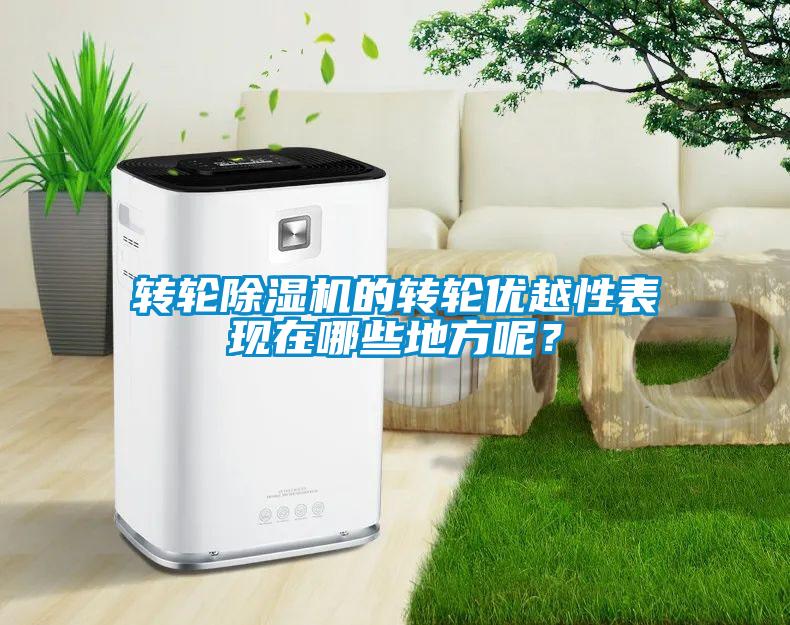 轉(zhuǎn)輪除濕機(jī)的轉(zhuǎn)輪優(yōu)越性表現(xiàn)在哪些地方呢？