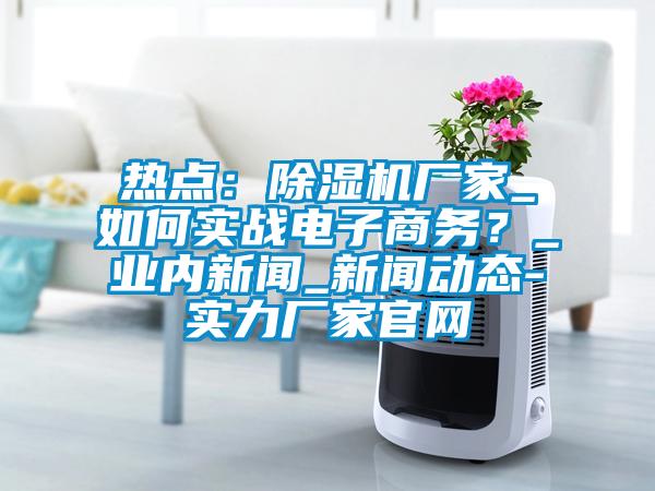 熱點：除濕機廠家_如何實戰電子商務？_業內新聞_新聞動態-實力廠家官網