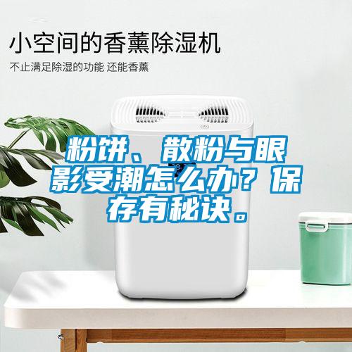 粉餅、散粉與眼影受潮怎么辦？保存有秘訣。
