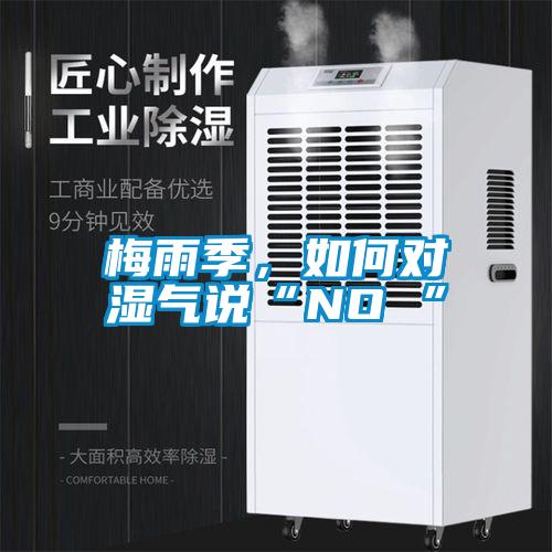 梅雨季，如何對濕氣說“NO ”
