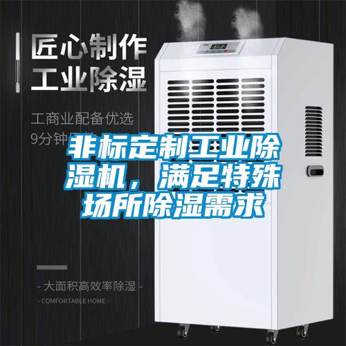 非標定制工業除濕機，滿足特殊場所除濕需求