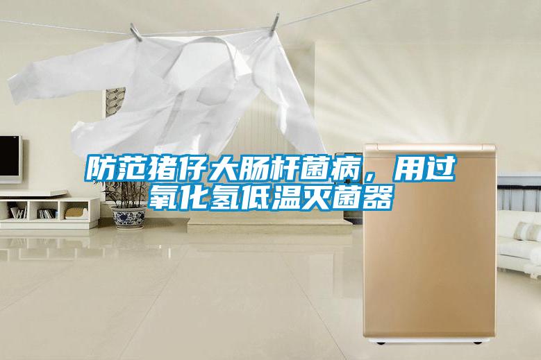 防范豬仔大腸桿菌病，用過氧化氫低溫滅菌器