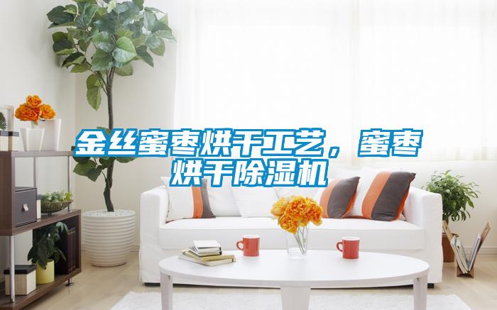 金絲蜜棗烘干工藝，蜜棗烘干除濕機