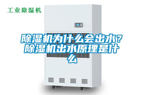 除濕機(jī)為什么會出水？除濕機(jī)出水原理是什么