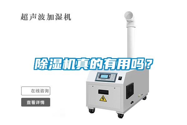 除濕機真的有用嗎？