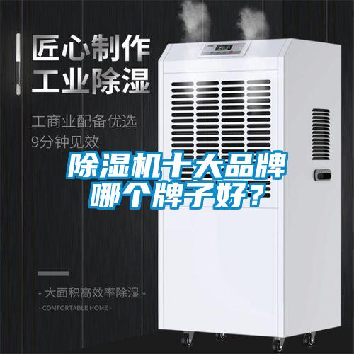 除濕機十大品牌哪個牌子好？