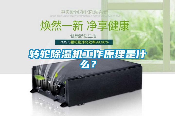 轉(zhuǎn)輪除濕機工作原理是什么？