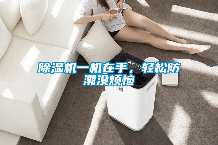 除濕機一機在手，輕松防潮沒煩惱