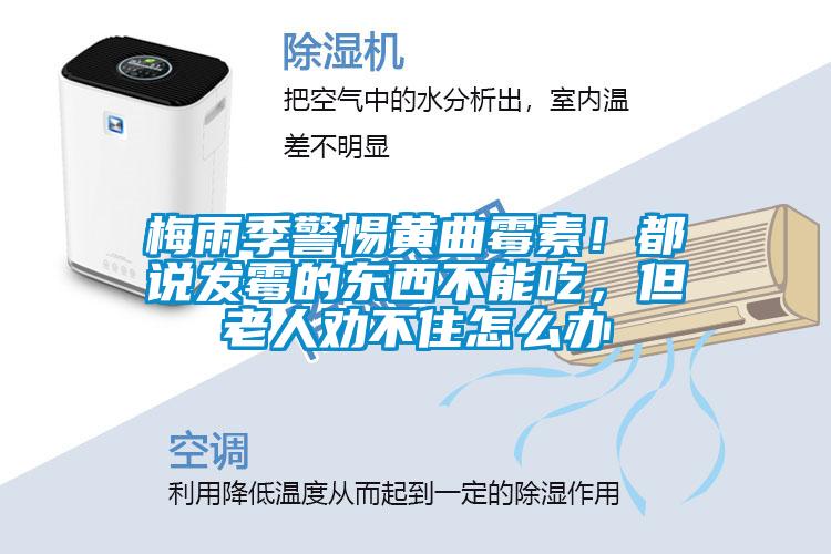 梅雨季警惕黃曲霉素！都說發霉的東西不能吃，但老人勸不住怎么辦
