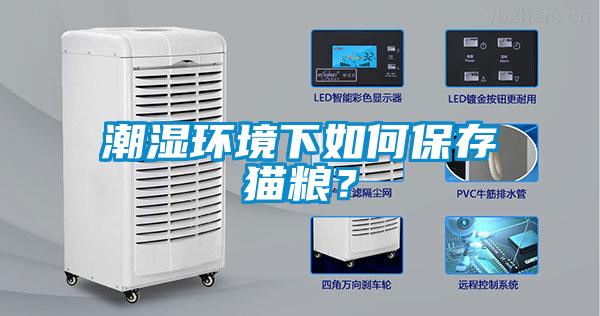 潮濕環(huán)境下如何保存貓糧？